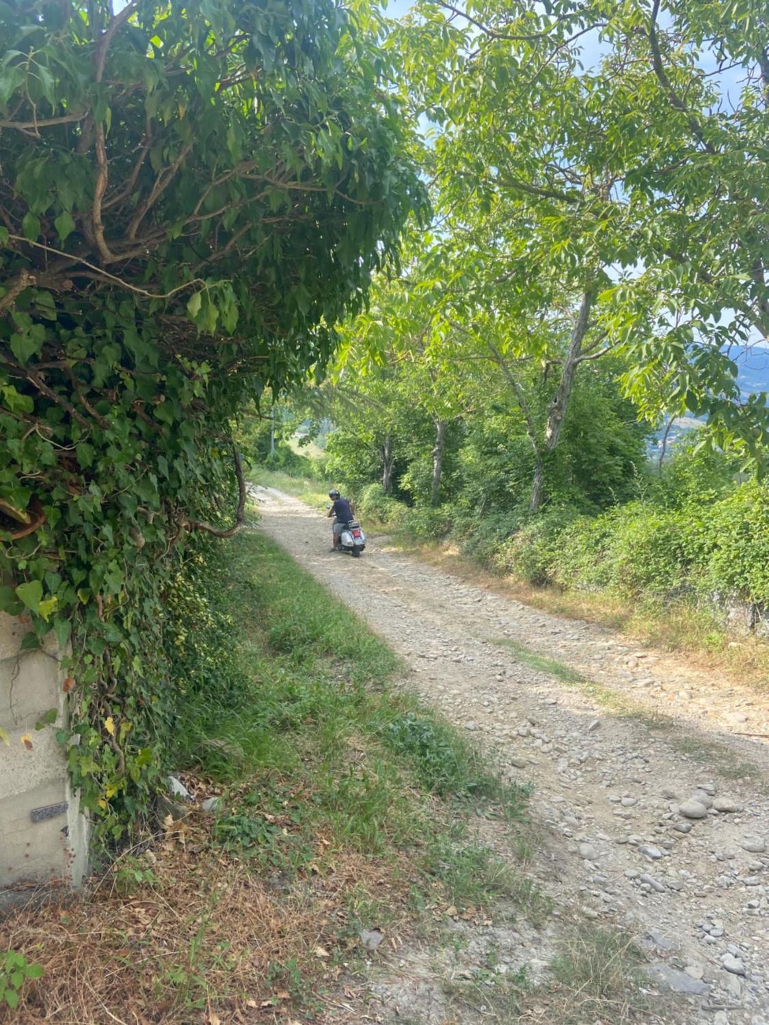Stanza Nel Bosco Alla Canova Di Biforco Rocca San Casciano Esterno foto