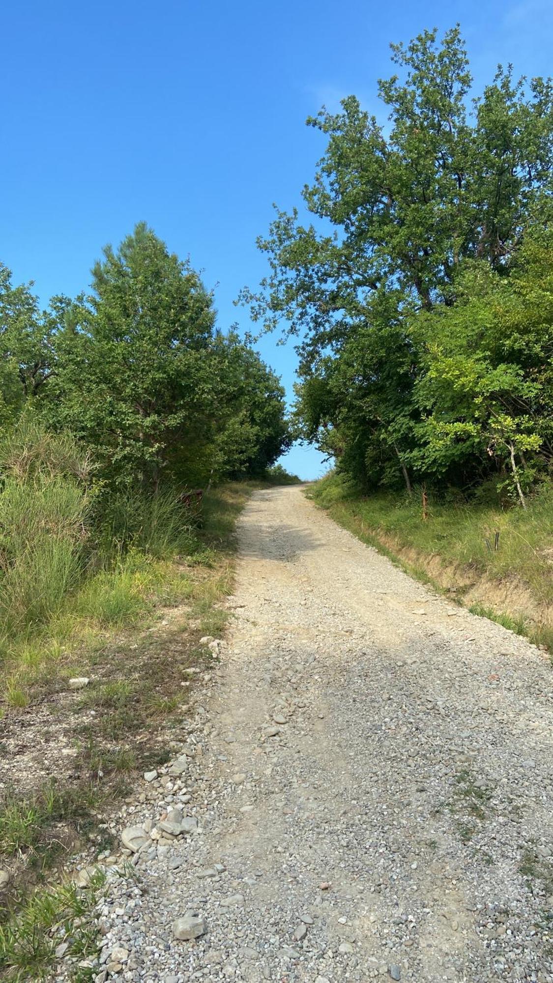 Stanza Nel Bosco Alla Canova Di Biforco Rocca San Casciano Esterno foto
